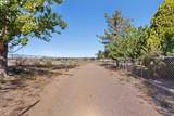 1 Santa Monica Avenue - Photo 46