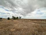  Ice Plant Road - Photo 10