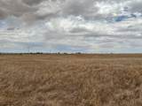 Ice Plant Road - Photo 11