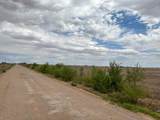  Ice Plant Road - Photo 12