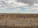  Ice Plant Road - Photo 13