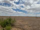  Ice Plant Road - Photo 14