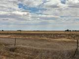  Ice Plant Road - Photo 15