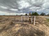  Ice Plant Road - Photo 17
