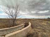  Ice Plant Road - Photo 19