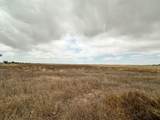  Ice Plant Road - Photo 21