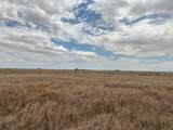 Ice Plant Road - Photo 4