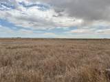  Ice Plant Road - Photo 7