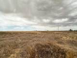  Ice Plant Road - Photo 9