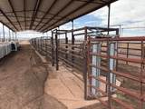 25 Miller Dairy Road - Photo 42