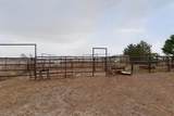 10 Lupe Road - Photo 47