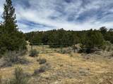 25 Round Up Road - Photo 42