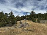 25 Round Up Road - Photo 43