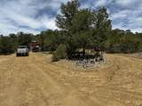 25 Round Up Road - Photo 44
