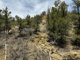 25 Round Up Road - Photo 45