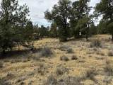 25 Round Up Road - Photo 46