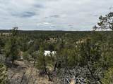 25 Round Up Road - Photo 49