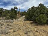 25 Round Up Road - Photo 50