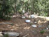 10 Mallard Drive - Photo 12
