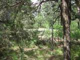 10 Mallard Drive - Photo 21