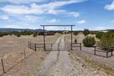 8860 State Highway 55 - Photo 7