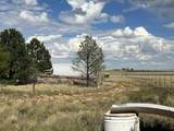 57 Watson Road - Photo 28