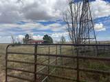 57 Watson Road - Photo 43