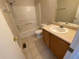 10728 Miera Drive - Photo 14