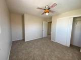 10728 Miera Drive - Photo 16