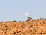  Us Hwy 550 - Photo 24
