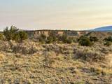  Us Hwy 550 - Photo 29