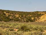  Us Hwy 550 - Photo 47