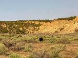  Us Hwy 550 - Photo 49