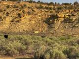  Us Hwy 550 - Photo 51