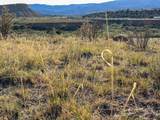  Us Hwy 550 - Photo 59