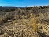  Us Hwy 550 - Photo 70