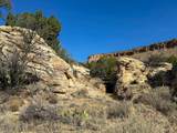  Us Hwy 550 - Photo 71
