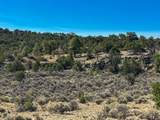  Us Hwy 550 - Photo 86