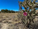  Us Hwy 550 - Photo 94