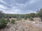 37 Lasso Lane - Photo 38