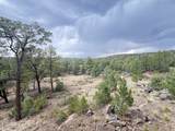 37 Lasso Lane - Photo 39