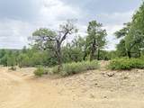 37 Lasso Lane - Photo 41