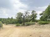 37 Lasso Lane - Photo 42