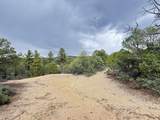 37 Lasso Lane - Photo 44