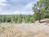 37 Lasso Lane - Photo 46