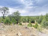 37 Lasso Lane - Photo 47