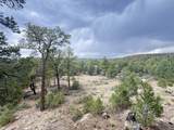 37 Lasso Lane - Photo 49