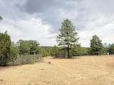 37 Lasso Lane - Photo 51
