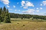 TBD Usfs Road 93 - Photo 17