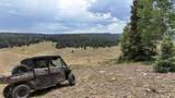TBD Usfs Road 93 - Photo 23